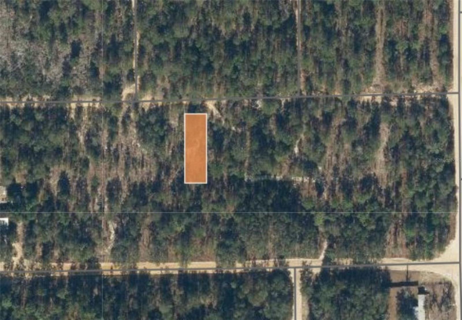 00 UNASSIGNED RD, INTERLACHEN, FL — photo 14