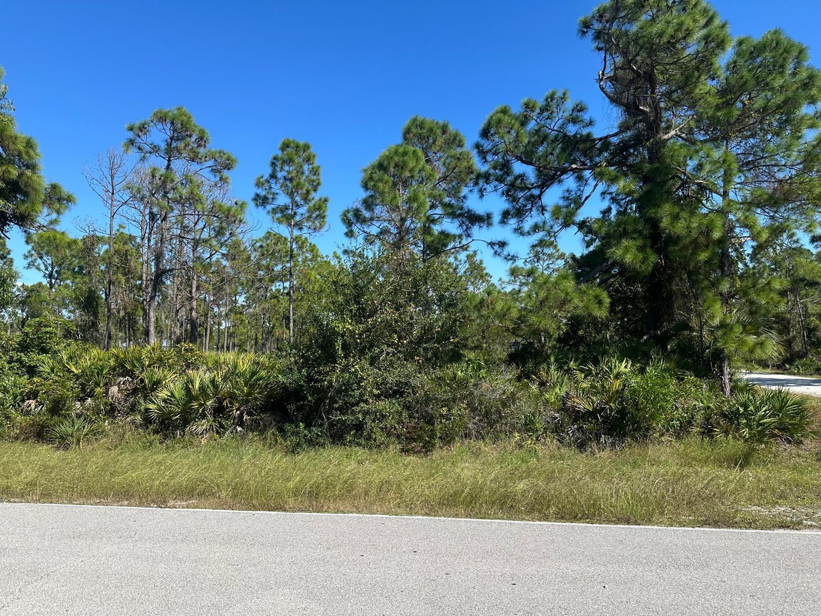 27028 CHAMOIS DR, PUNTA GORDA, FL — photo 3