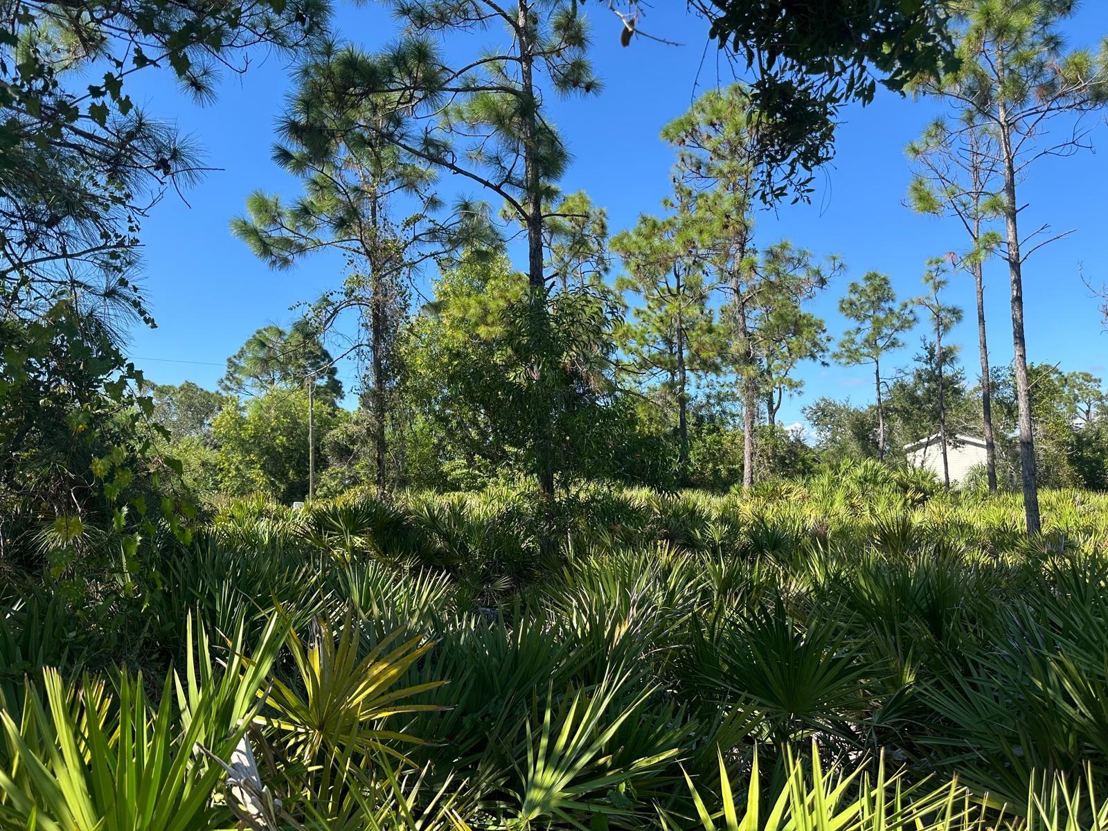 27028 CHAMOIS DR, PUNTA GORDA, FL — photo 4