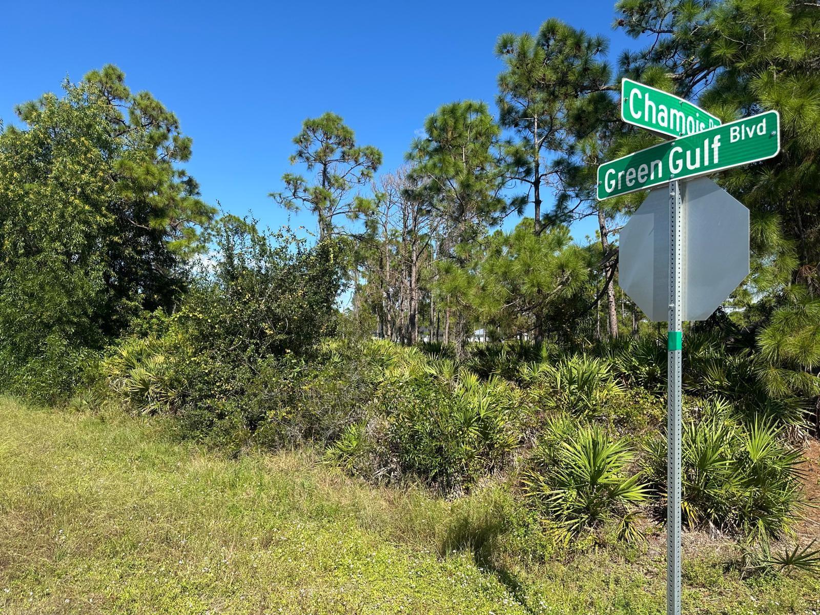 27028 CHAMOIS DR, PUNTA GORDA, FL — photo 5