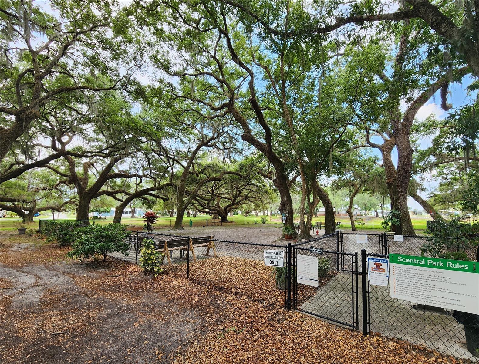 5650 BENTON ST, ZEPHYRHILLS, FL — photo 52