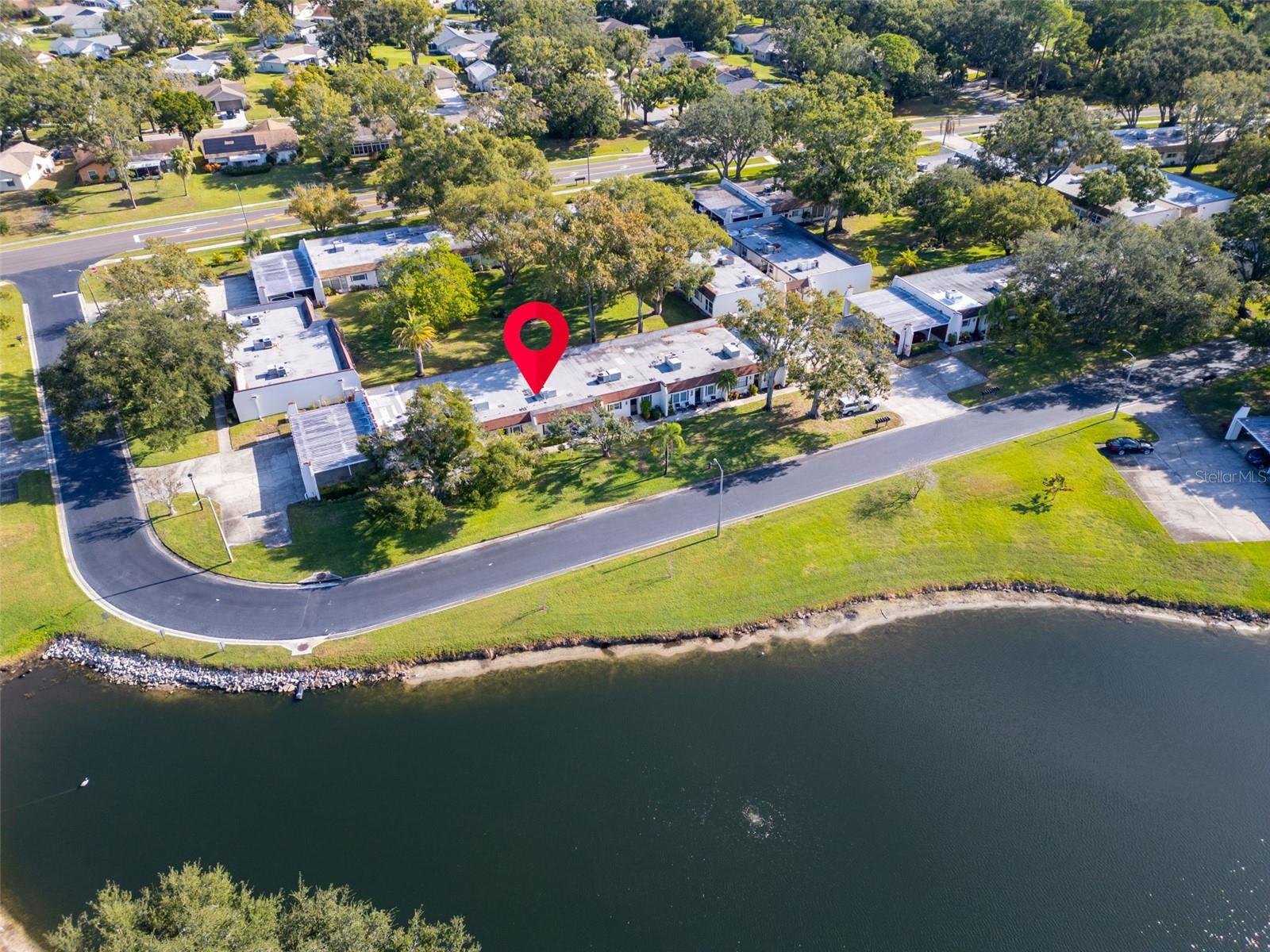 3109 MISSION GROVE DR #D, PALM HARBOR, FL — photo 3