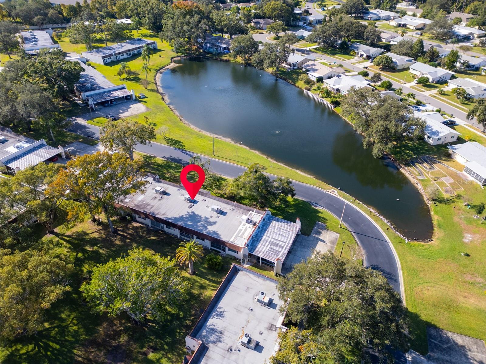 3109 MISSION GROVE DR #D, PALM HARBOR, FL — photo 37