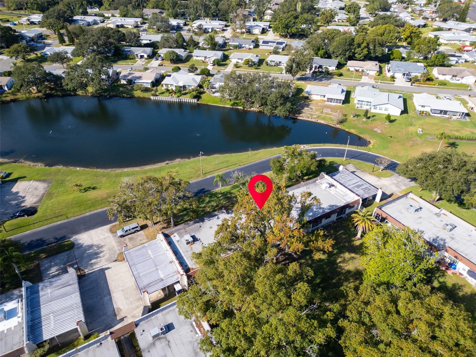 3109 MISSION GROVE DR #D, PALM HARBOR, FL — photo 38