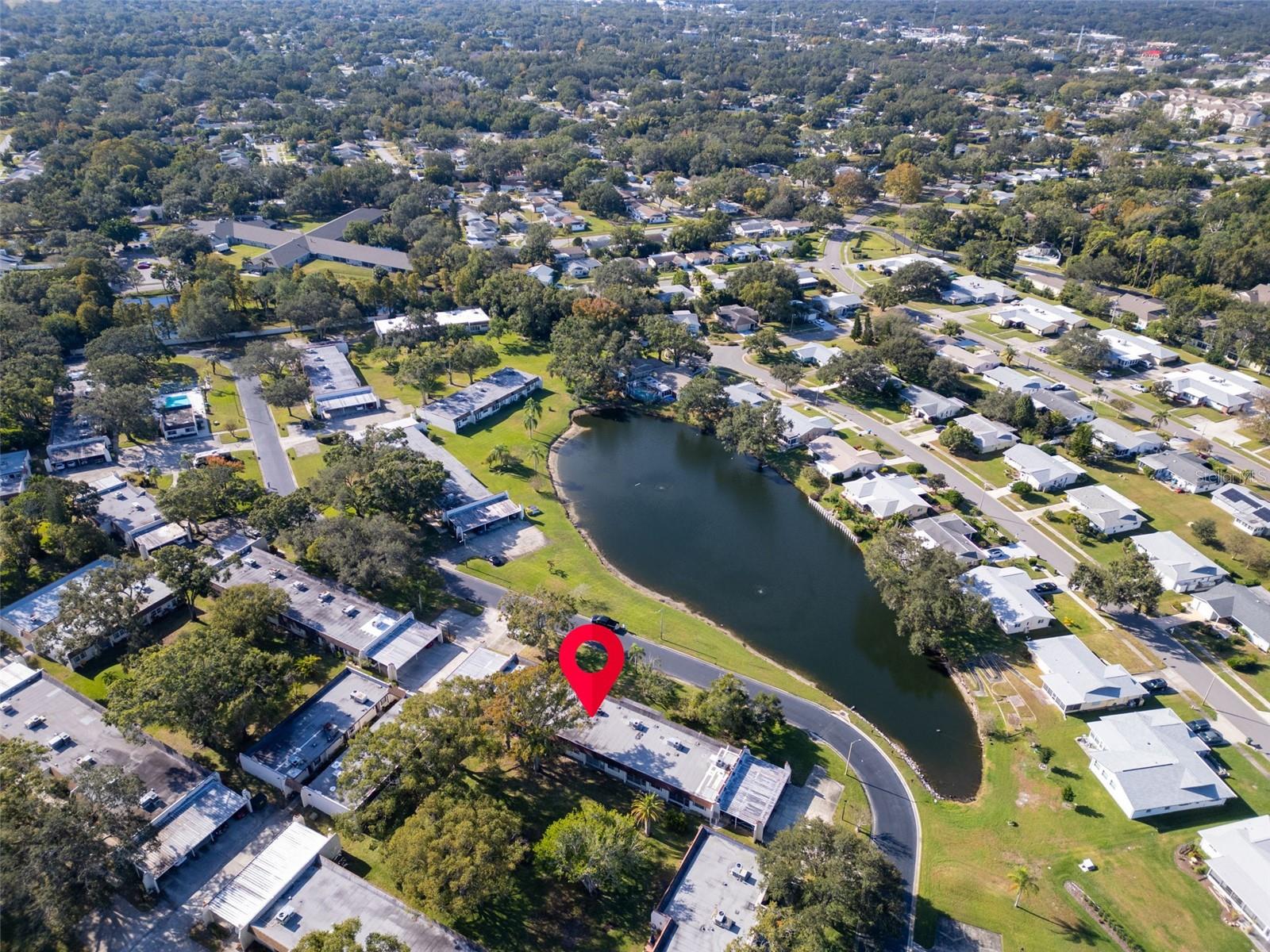 3109 MISSION GROVE DR #D, PALM HARBOR, FL — photo 39