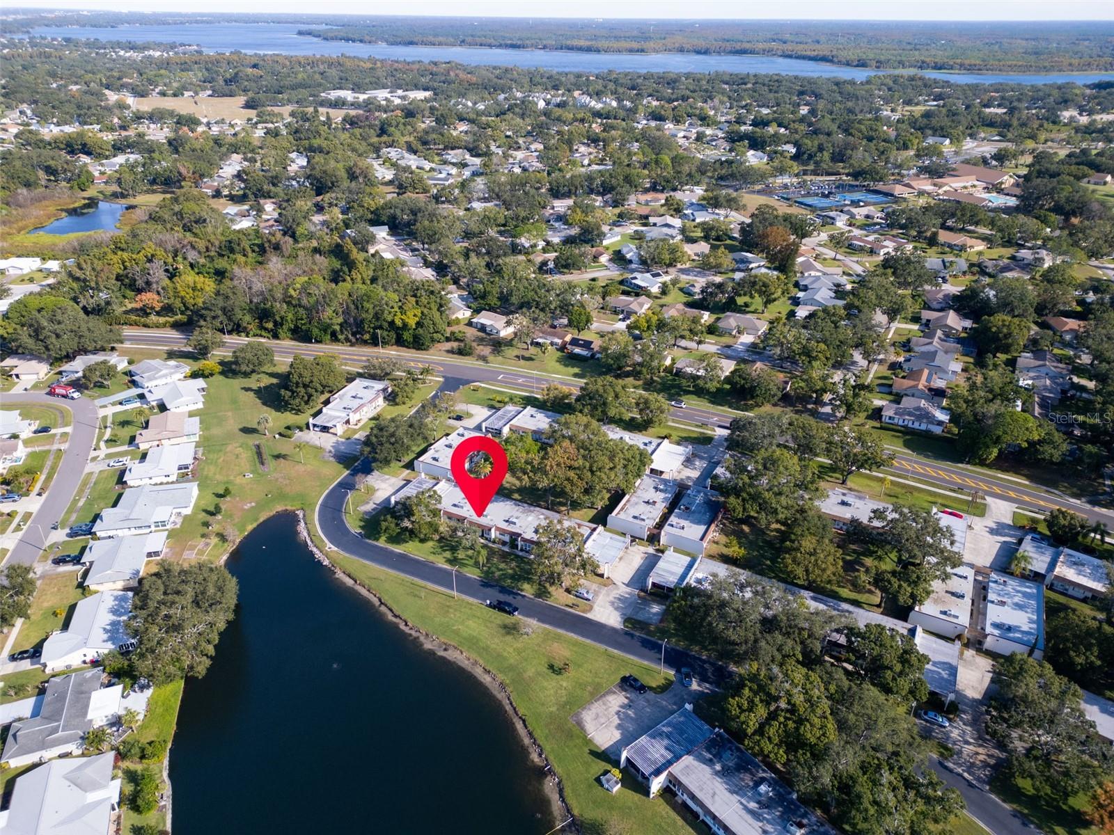 3109 MISSION GROVE DR #D, PALM HARBOR, FL — photo 40