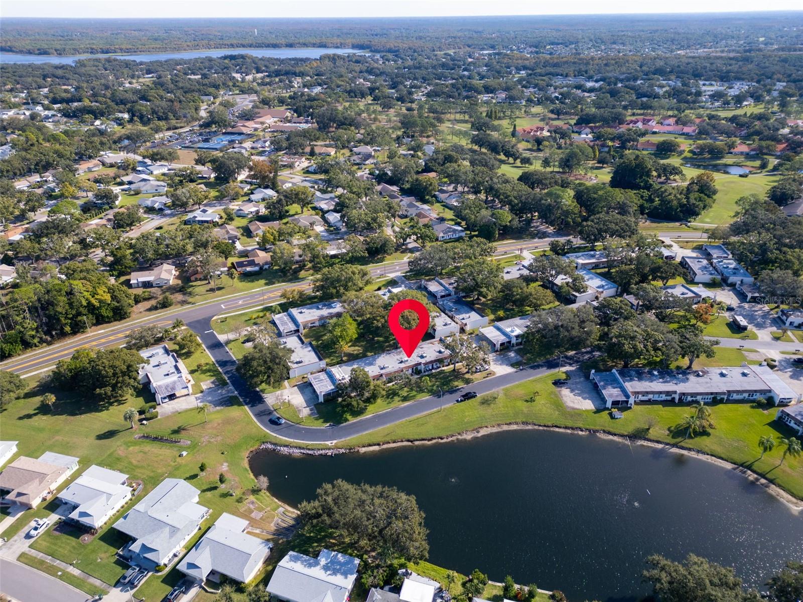 3109 MISSION GROVE DR #D, PALM HARBOR, FL — photo 41
