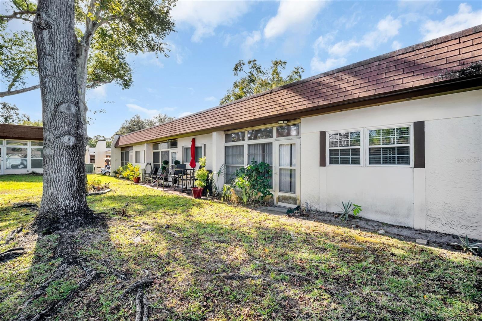 3109 MISSION GROVE DR #D, PALM HARBOR, FL — photo 44