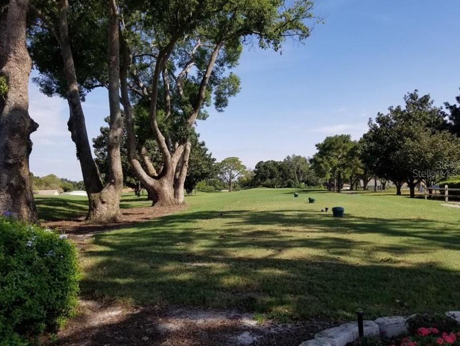 3109 MISSION GROVE DR #D, PALM HARBOR, FL — photo 47