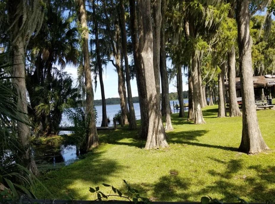 3109 MISSION GROVE DR #D, PALM HARBOR, FL — photo 51