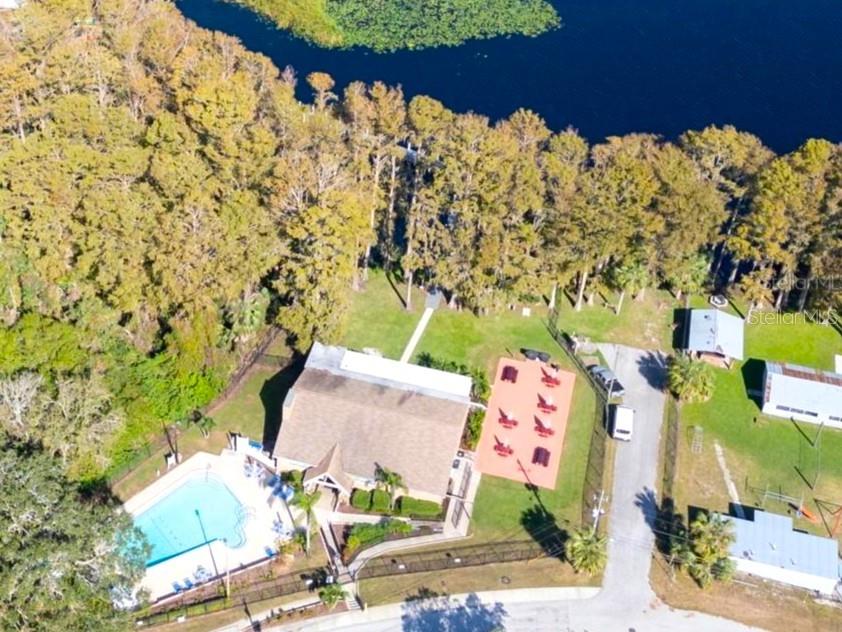 3109 MISSION GROVE DR #D, PALM HARBOR, FL — photo 57