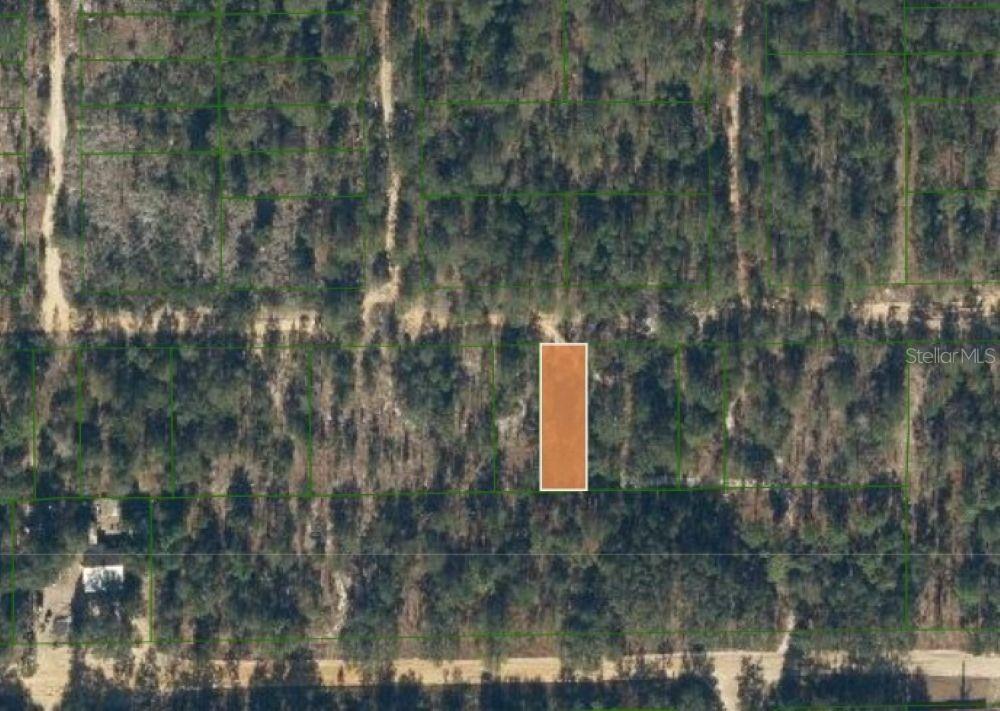 0 UNASSIGNED RD, INTERLACHEN, FL — photo 15
