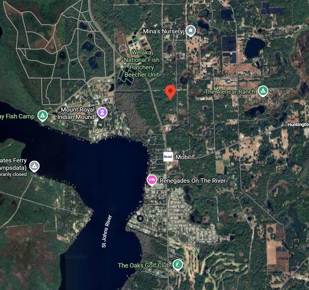 175 OAK RUN RD, CRESCENT CITY, FL