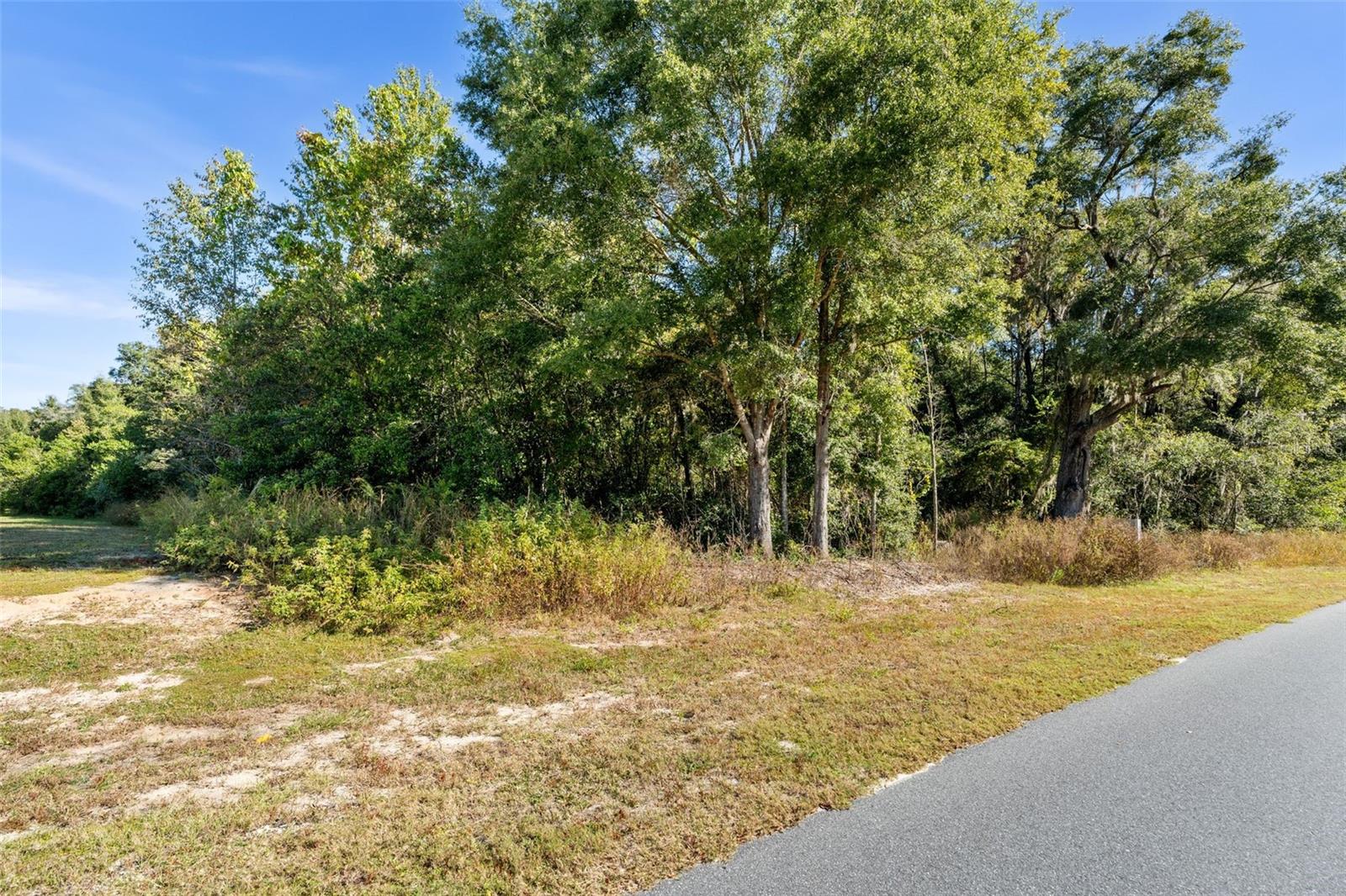 18928 SW 21ST PL, NEWBERRY, FL — photo 12