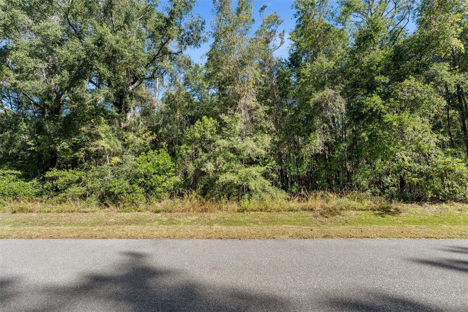 18928 SW 21ST PL, NEWBERRY, FL — photo 13
