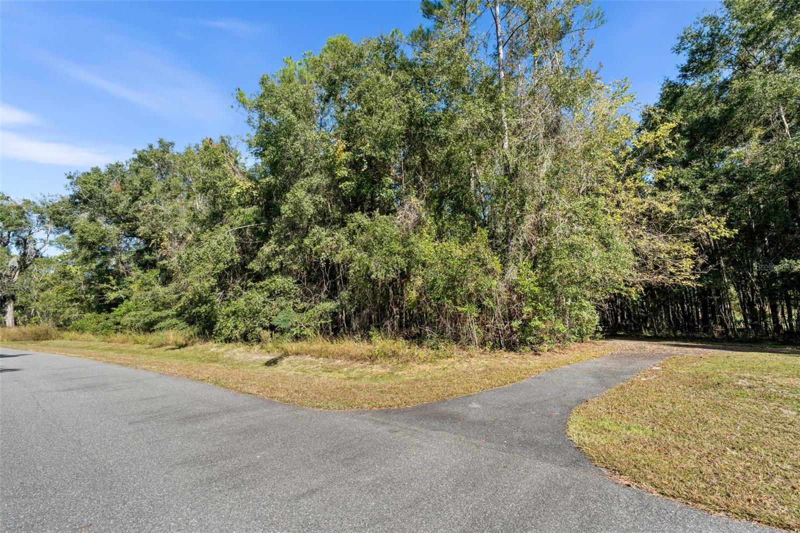 18928 SW 21ST PL, NEWBERRY, FL — photo 14
