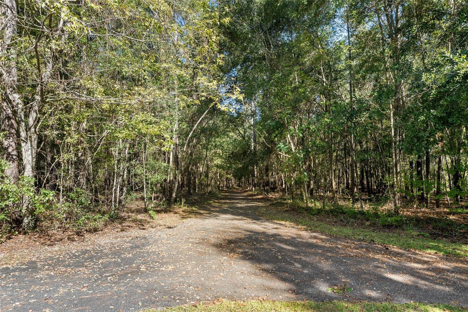 18928 SW 21ST PL, NEWBERRY, FL — photo 15