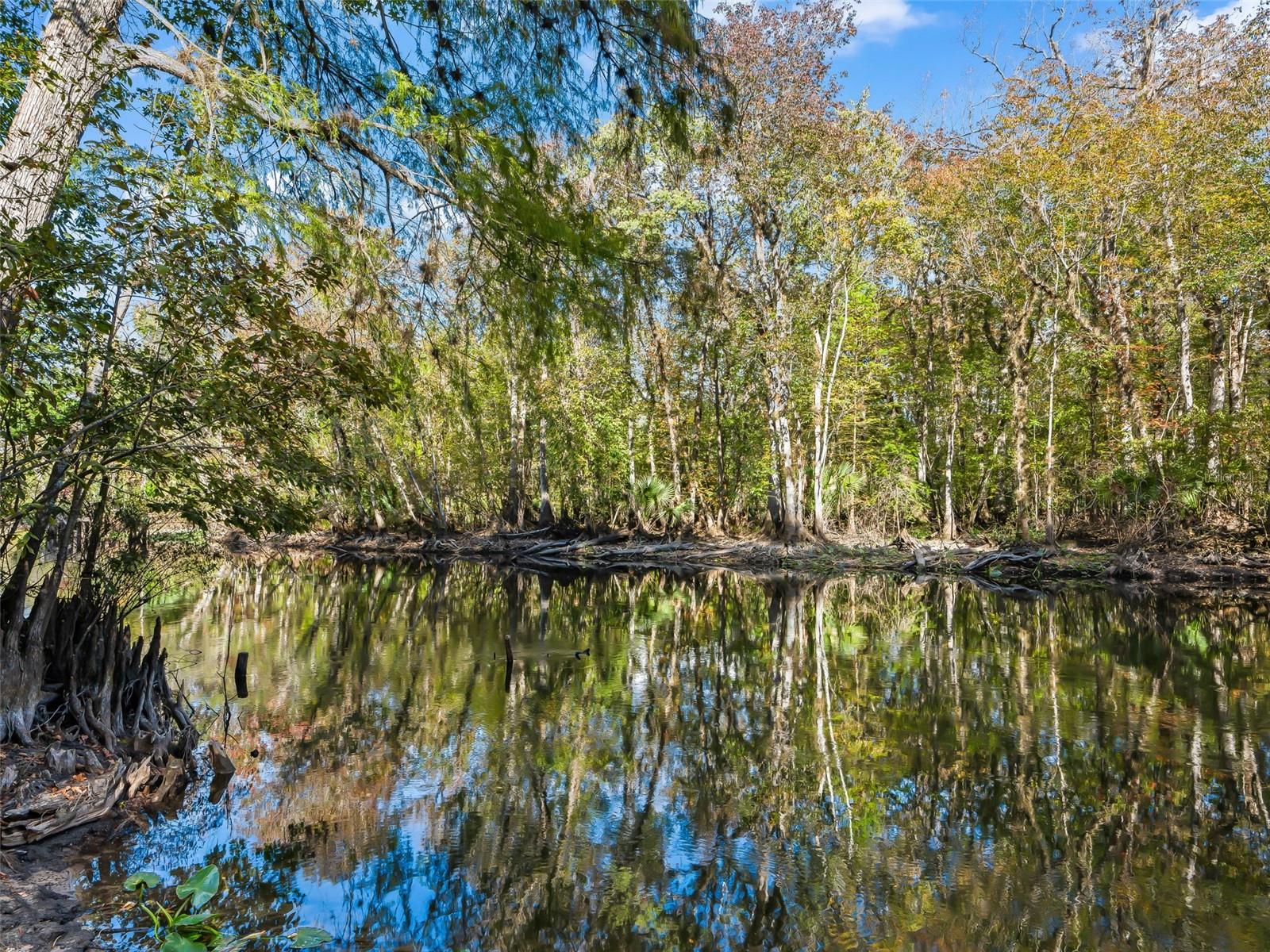 15260 NE 152ND PL, FORT MC COY, FL — photo 5