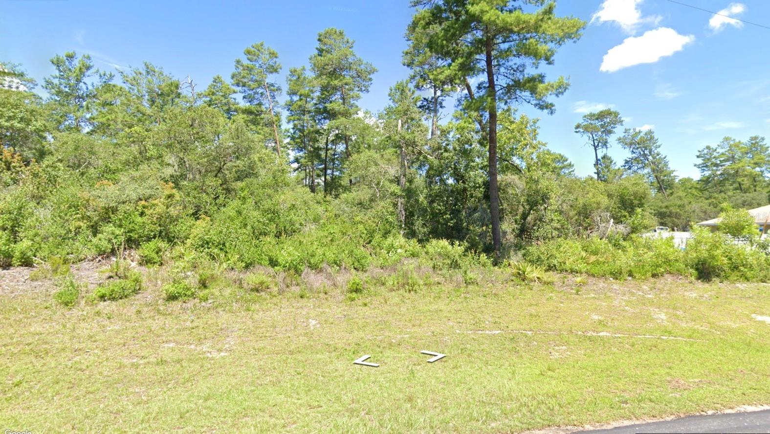 MARION OAK, OCALA, FL
