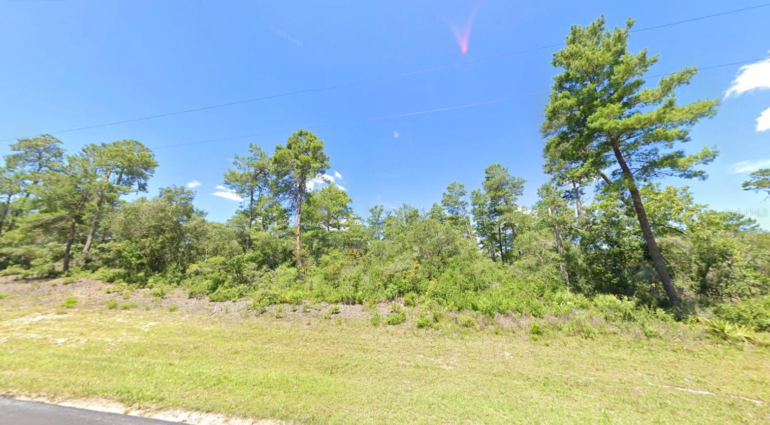 MARION OAK, OCALA, FL — photo 5