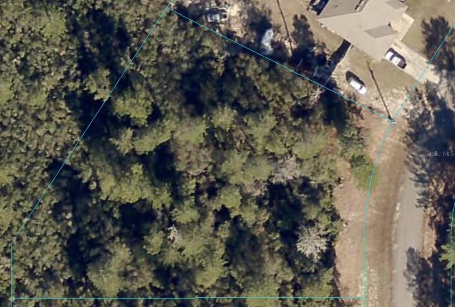 MARION OAK, OCALA, FL — photo 7