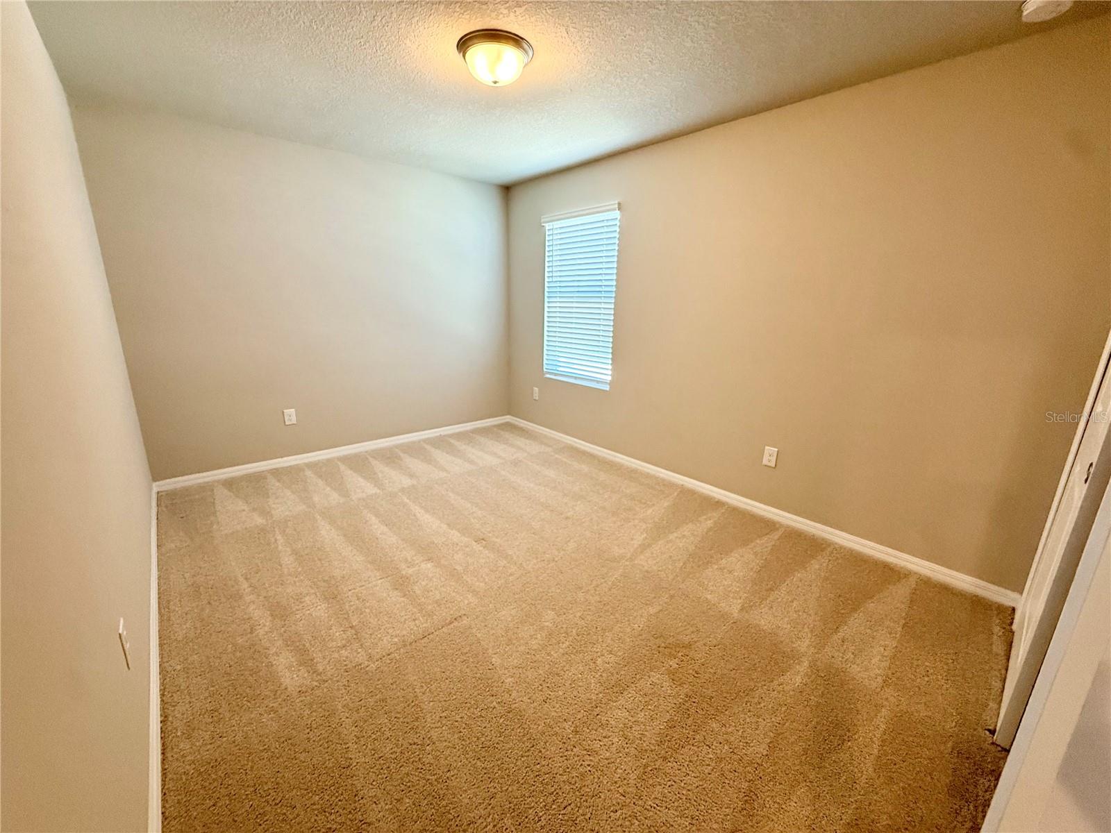10062 DAYBREAK GLN, PARRISH, FL — photo 29