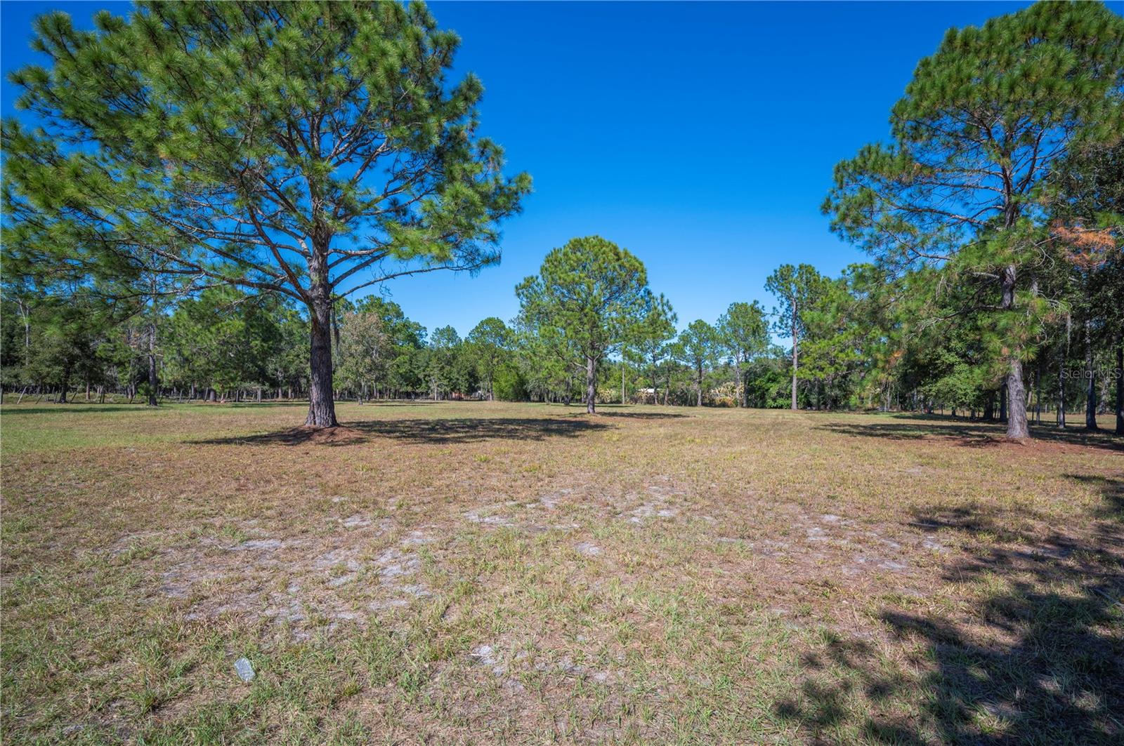 2525 RANCHLAND ACRES RD, LAKELAND, FL — photo 6