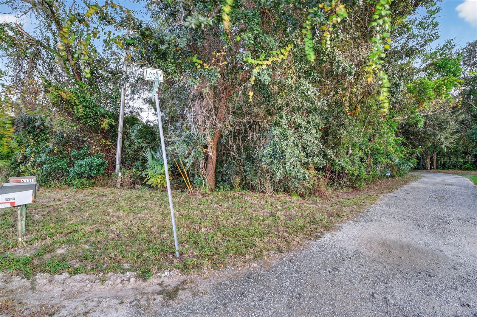 6331 LOST TRL, HOLIDAY, FL — photo 14