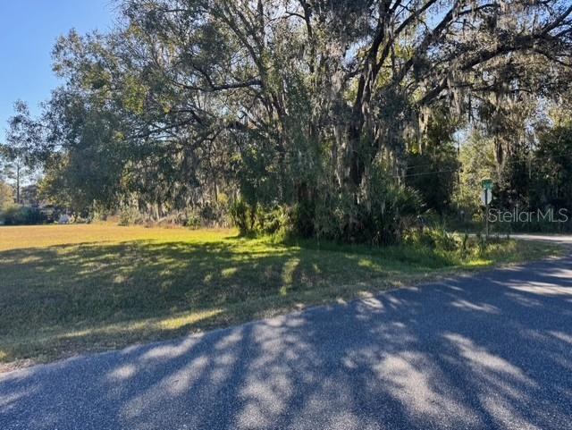 Lots SW 229TH CT, DUNNELLON, FL — photo 4