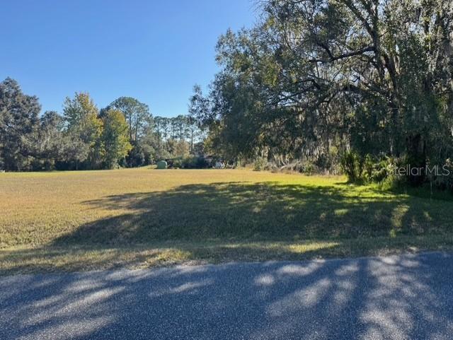 Lots SW 229TH CT, DUNNELLON, FL — photo 5