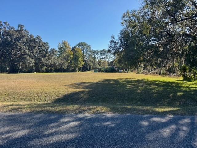 Lots SW 229TH CT, DUNNELLON, FL — photo 6