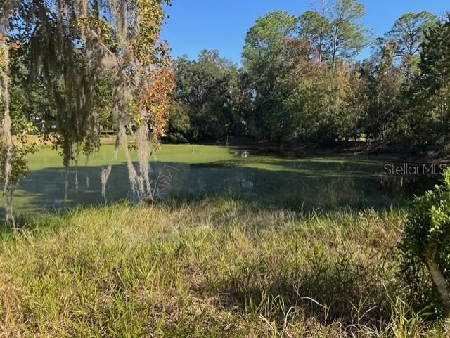 Lots SW 229TH CT, DUNNELLON, FL — photo 2
