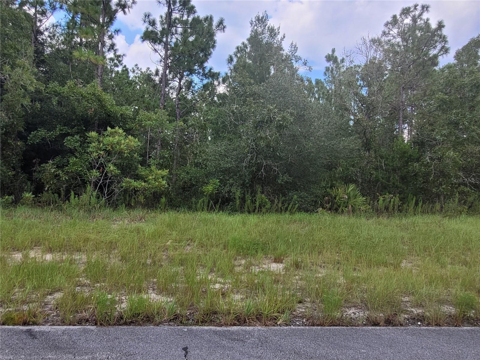 SW 135 ST, OCALA, FL