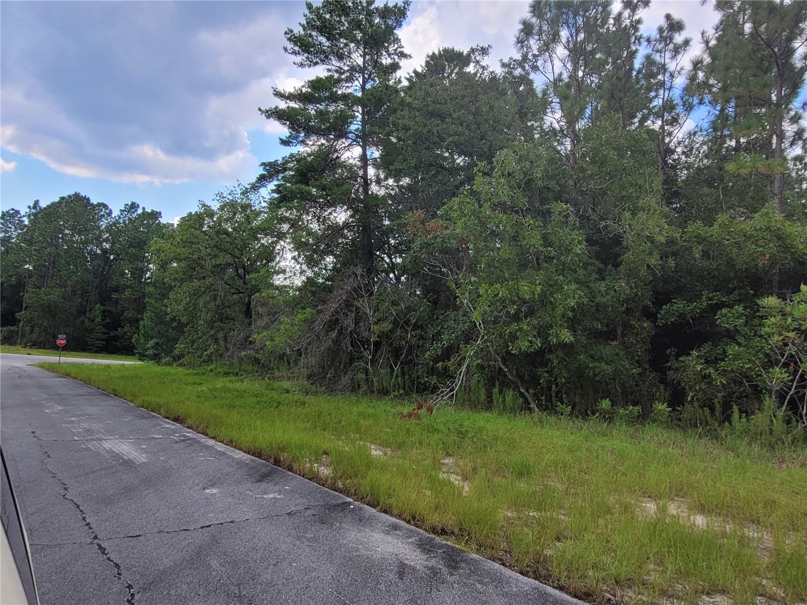 SW 135 ST, OCALA, FL — photo 3