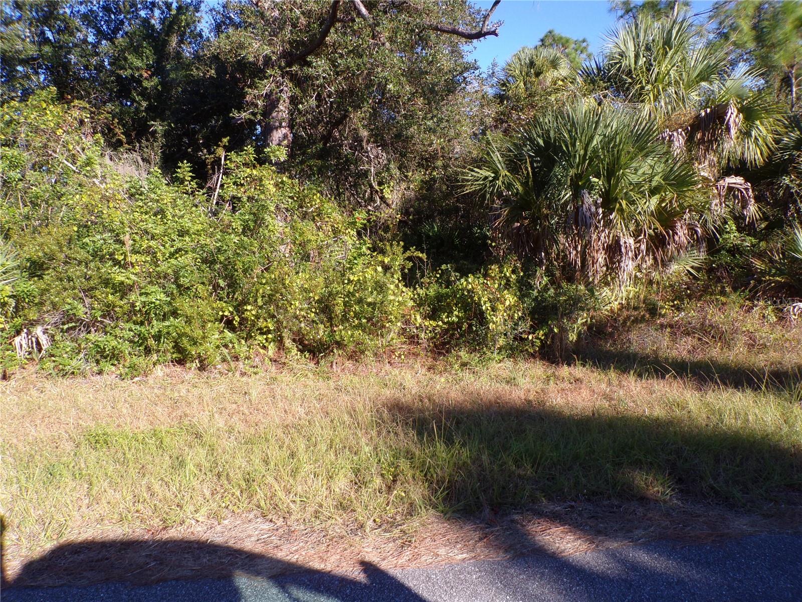 442 LACKLAND ST, PORT CHARLOTTE, FL — photo 15