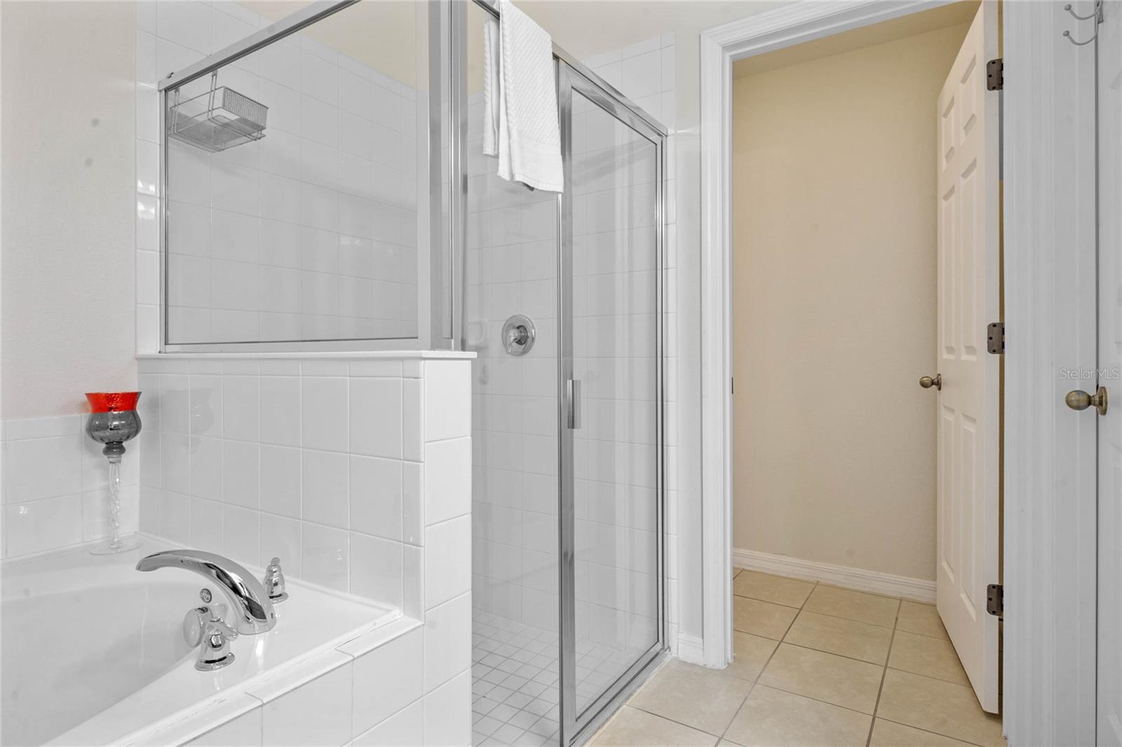 2509 DHARMA CIR, KISSIMMEE, FL — photo 21