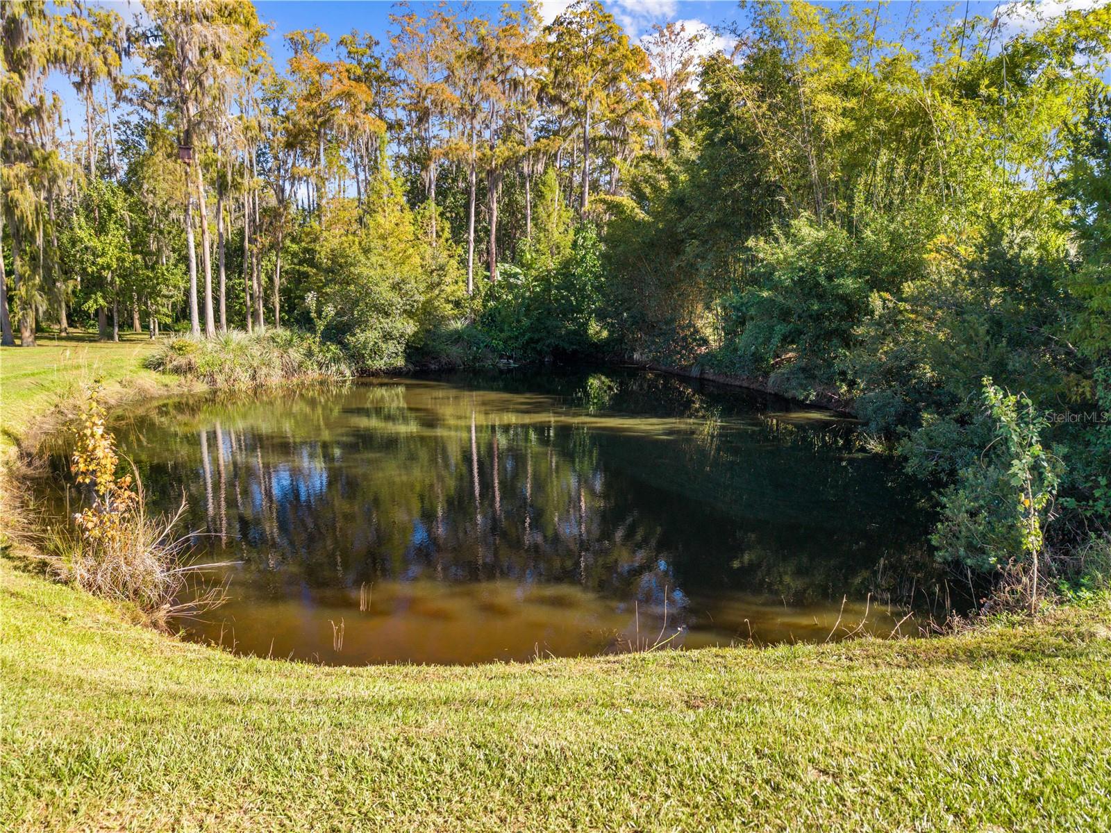 4055 EDSEL AVE, ST CLOUD, FL — photo 86