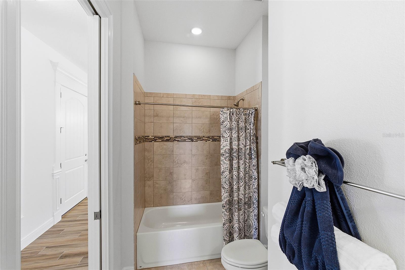 39500 HILLRISE LN, LADY LAKE, FL — photo 96