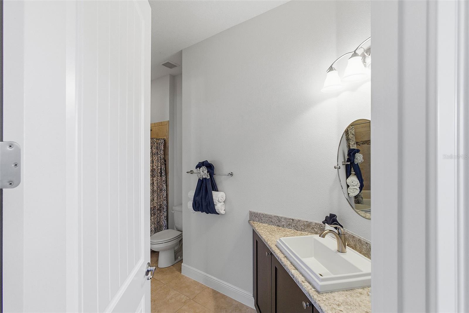 39500 HILLRISE LN, LADY LAKE, FL — photo 97
