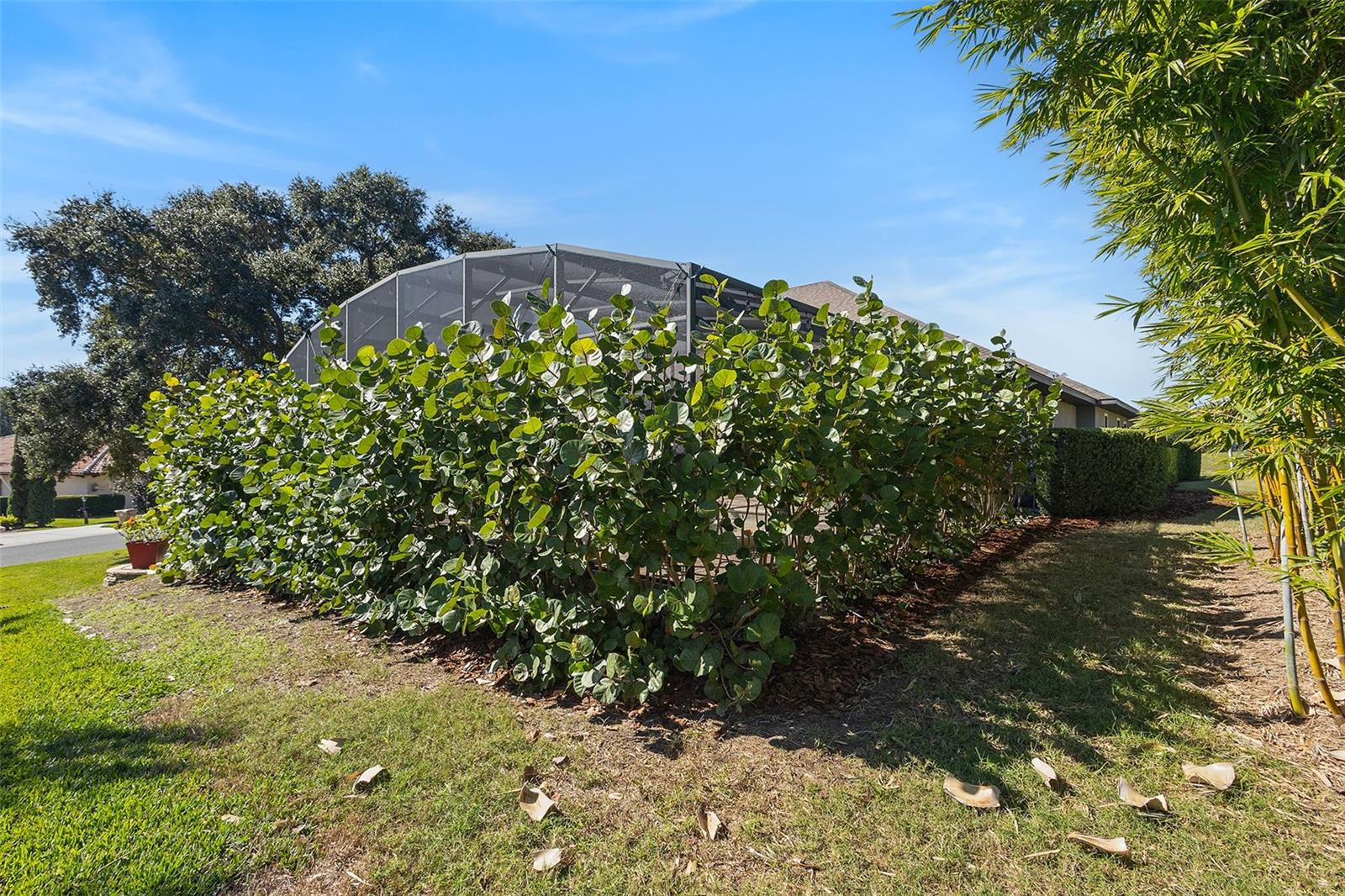 39500 HILLRISE LN, LADY LAKE, FL — photo 124
