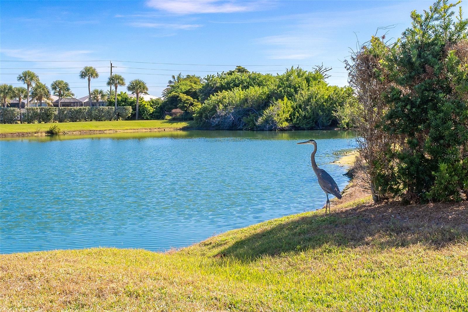 11220 HACIENDA DEL MAR BLVD #203, PLACIDA, FL — photo 35
