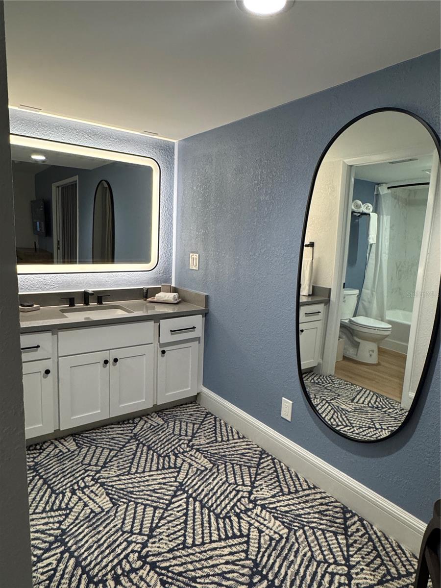 4786 FOX HUNT DR #D743, WESLEY CHAPEL, FL — photo 24