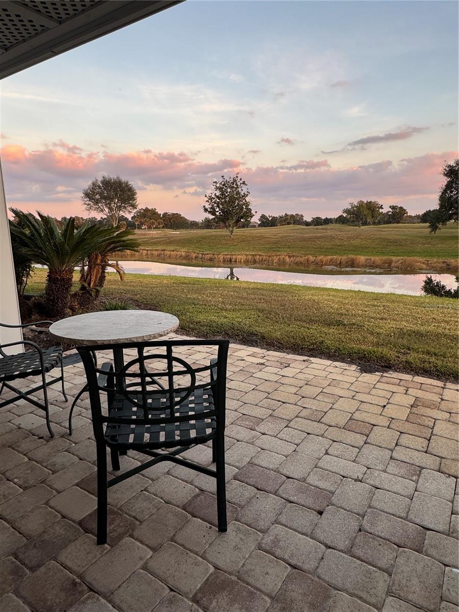 4786 FOX HUNT DR #D743, WESLEY CHAPEL, FL — photo 31
