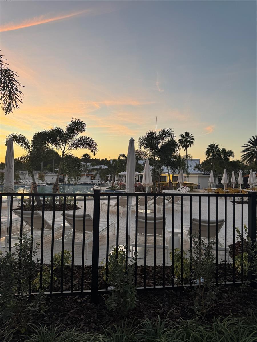 4786 FOX HUNT DR #D743, WESLEY CHAPEL, FL — photo 42