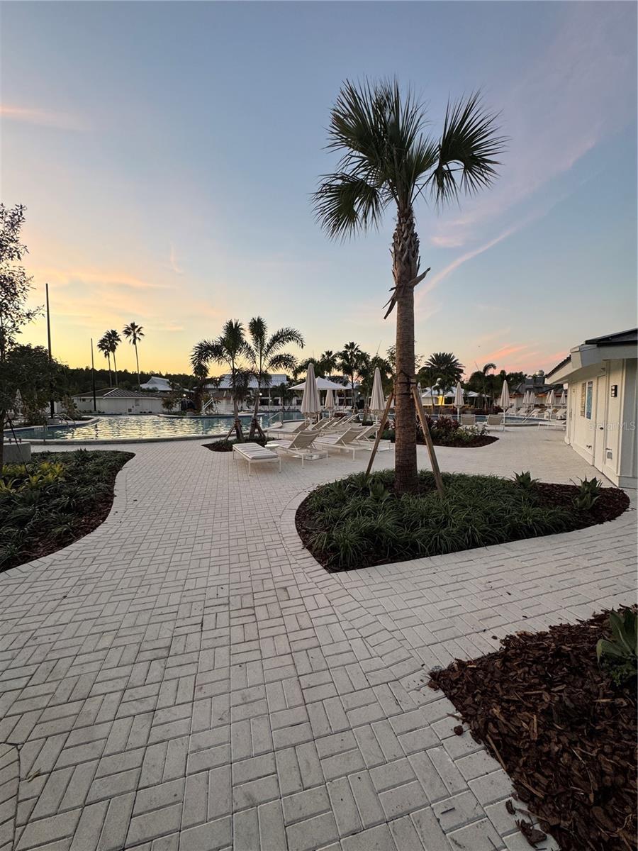 4786 FOX HUNT DR #D743, WESLEY CHAPEL, FL — photo 44