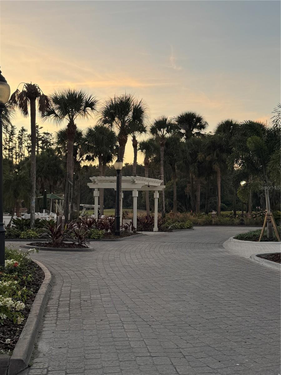 4786 FOX HUNT DR #D743, WESLEY CHAPEL, FL — photo 47