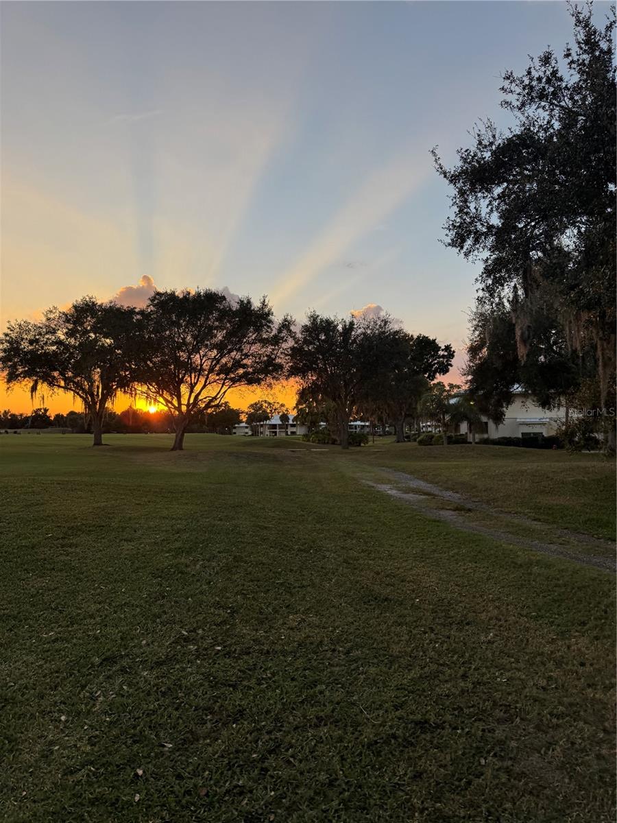 4786 FOX HUNT DR #D743, WESLEY CHAPEL, FL — photo 57