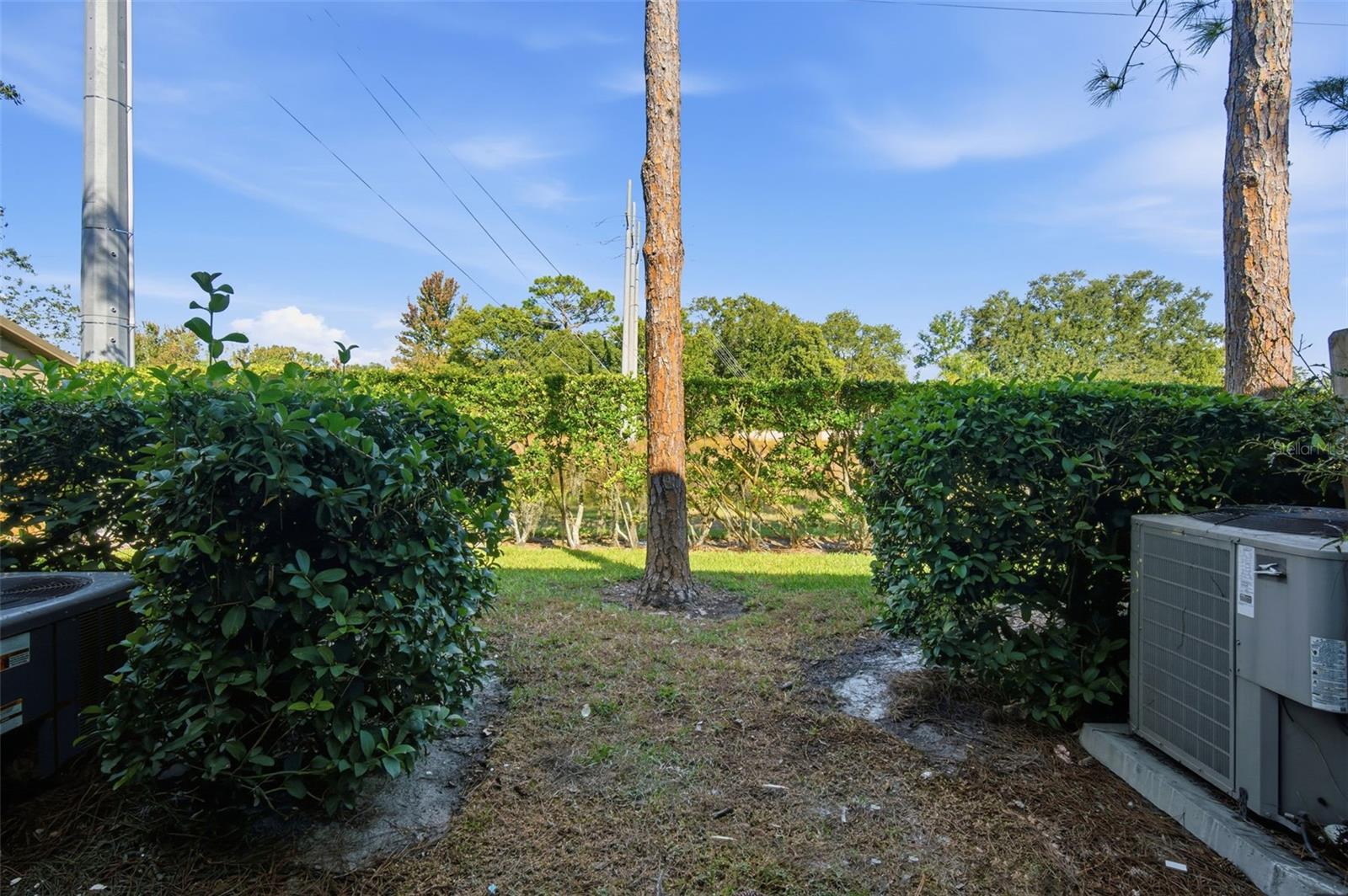 16545 LAKE BRIGADOON CIR, TAMPA, FL — photo 26