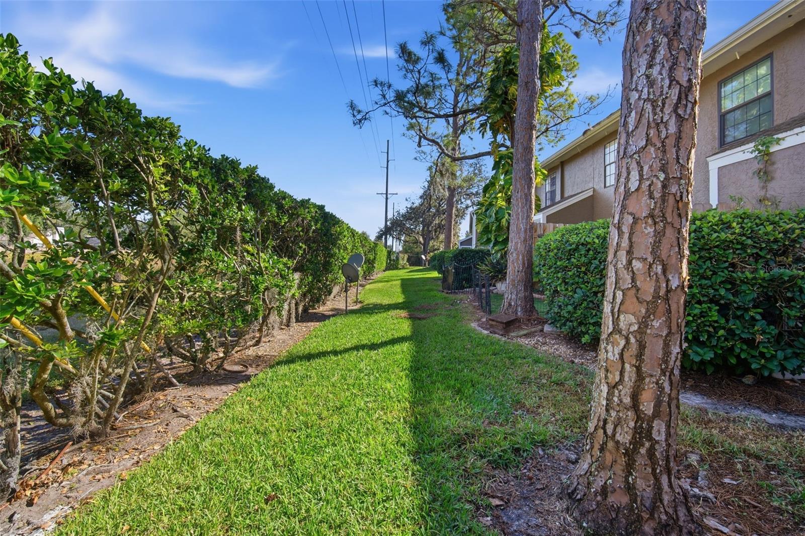 16545 LAKE BRIGADOON CIR, TAMPA, FL — photo 28