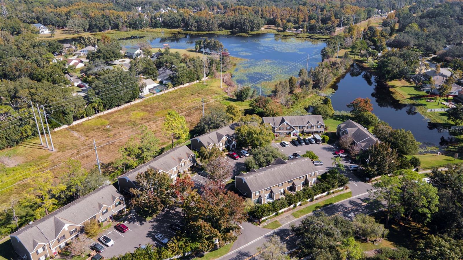 16545 LAKE BRIGADOON CIR, TAMPA, FL — photo 32